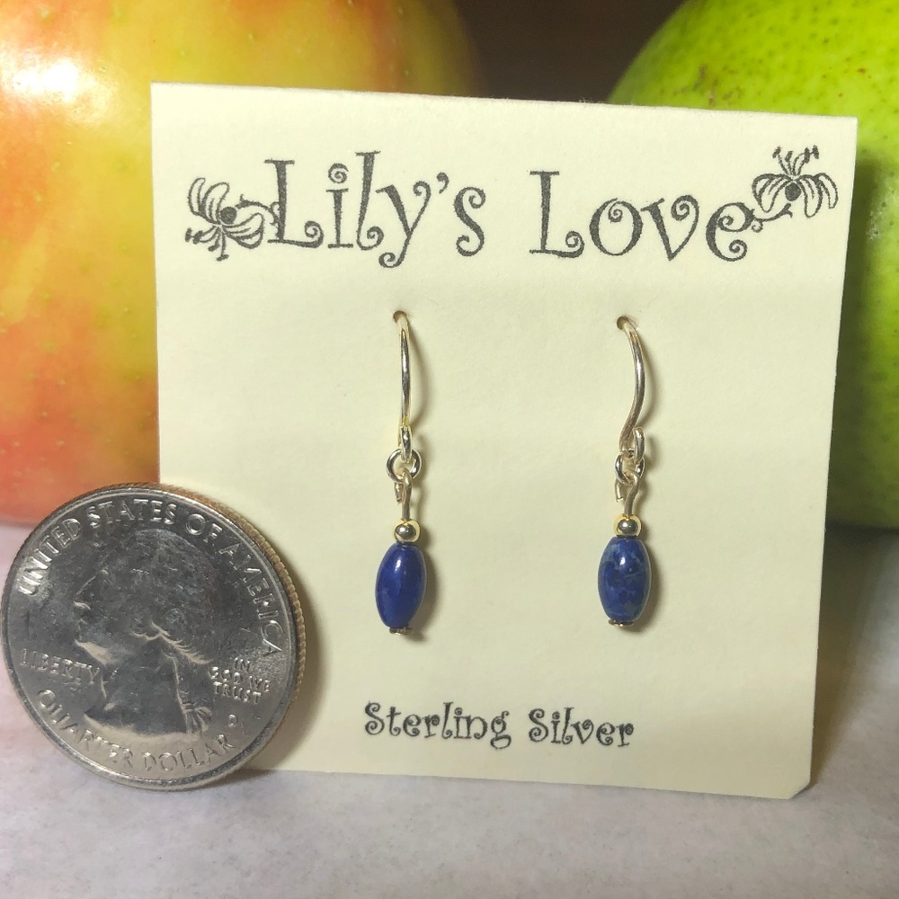 Howlite Earrings